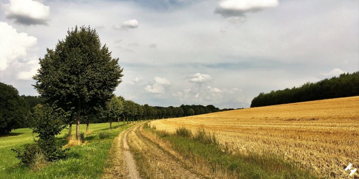 Im Gewerbegebiet unterhalb der Firma Linamar am Wirtschaftsweg mit Stoppelfeld