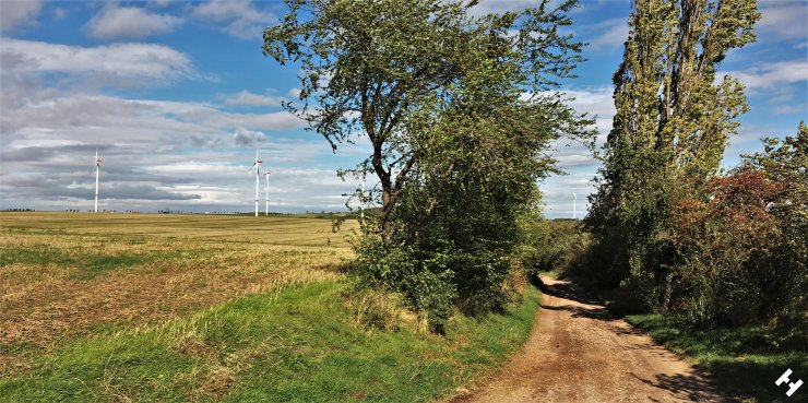 Schotterweg Richtung Sahnpark