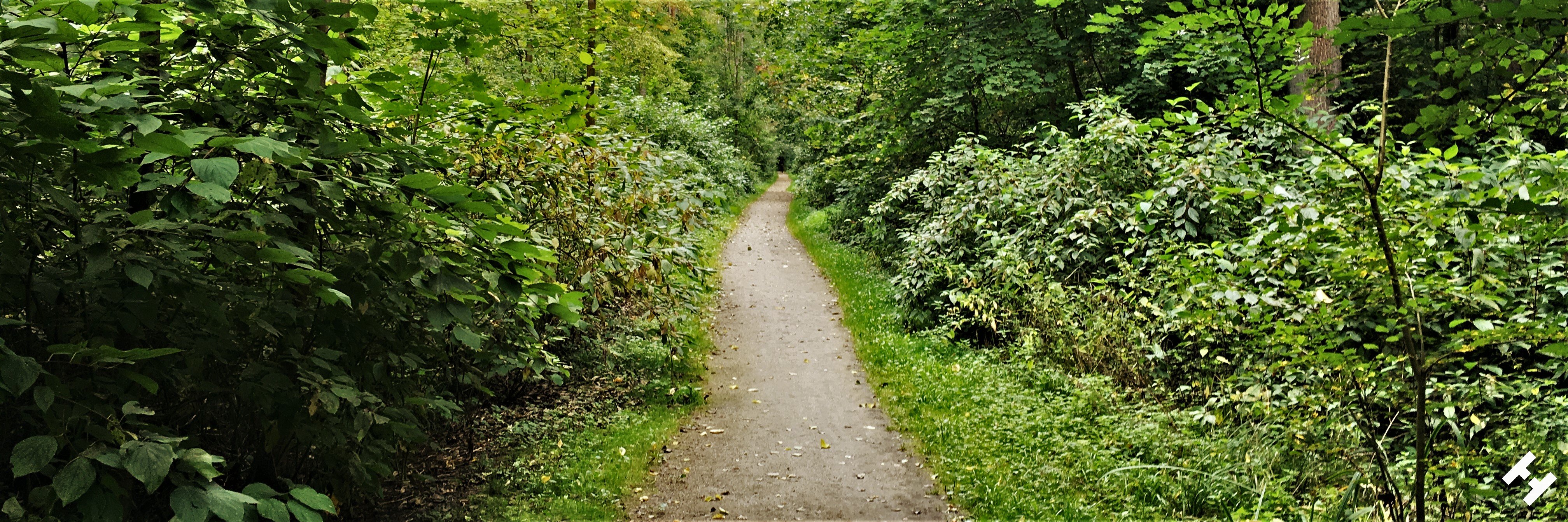 Beginn des Sahnparks auf schmalen Wegen