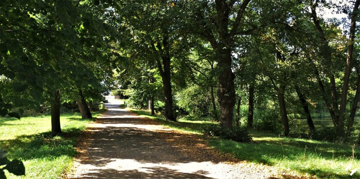 Weg zwischen an Teichen in Gablenz