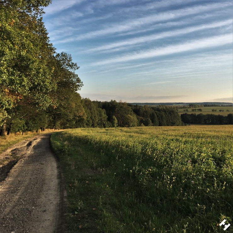Schöner Weg am Waldrand zwischen Dänkritz und Hartmannsdorf