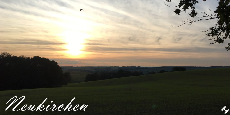 Grüne Felder im Hügelland zwischen Dänkritz und Hartmannsdorf