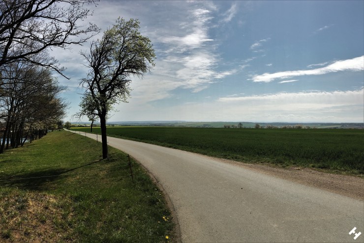 Ausblick Richtung Pleißental