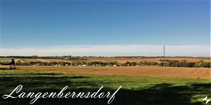 Blick über die Felder am Nordrand des Werdauer Waldes