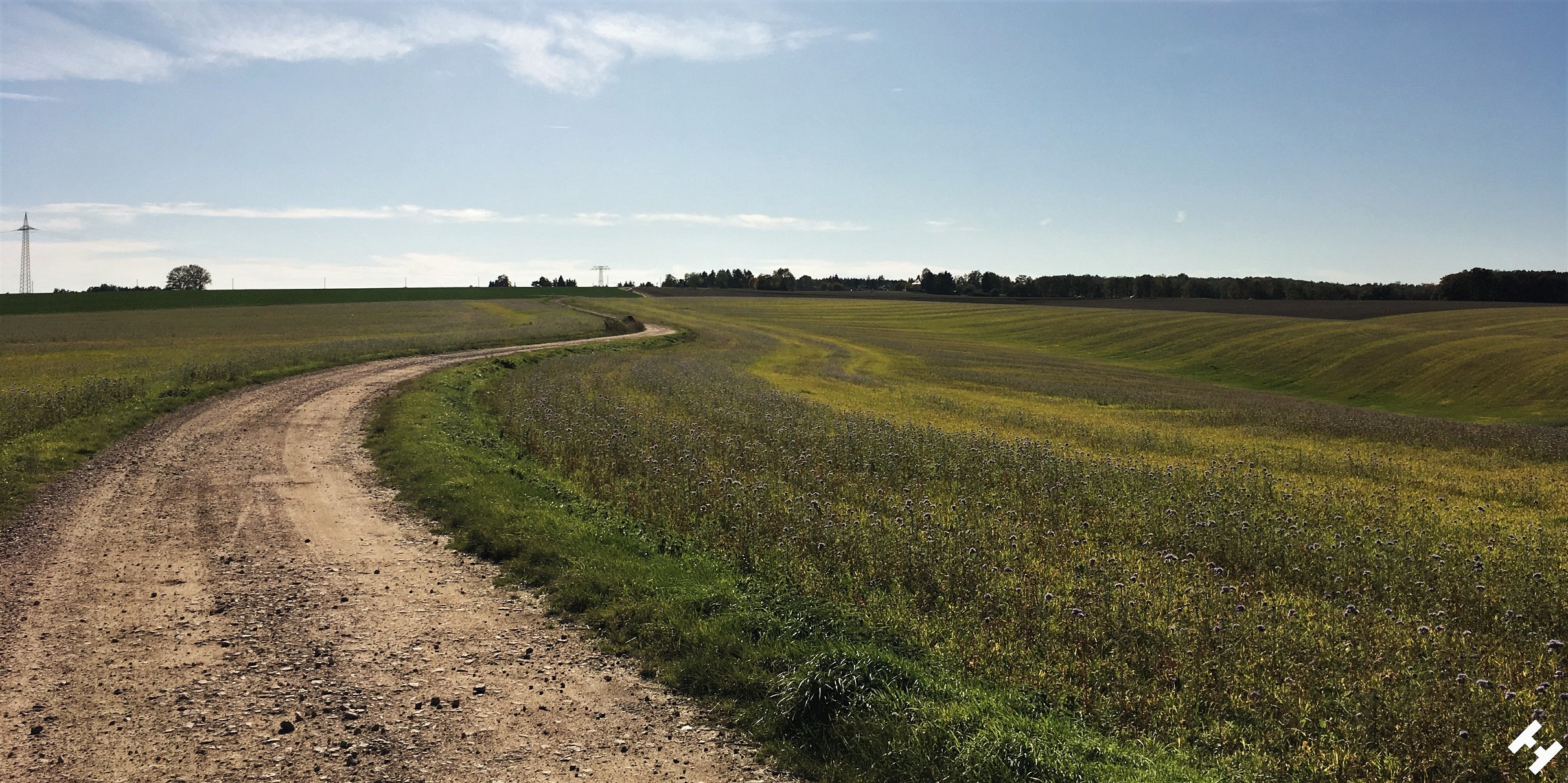 Blühende Landschaften in der Nähe zu Werdau