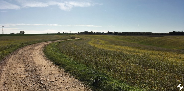 Blühende Landschaften in der Nähe zu Werdau