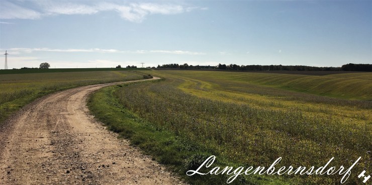 Wirtschaftsweg oberhalb Langenhessen nahe Pleißental Klinik