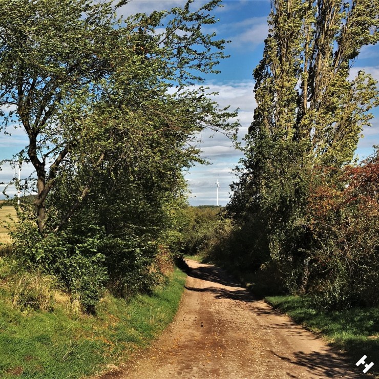 Feldweg zur Obstmeile am Feldschlösschen