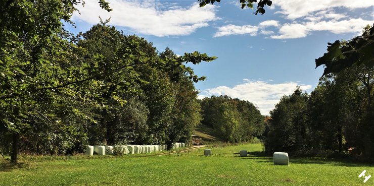 Trail von den Gablenzer Teichen Richtung Lauenhain