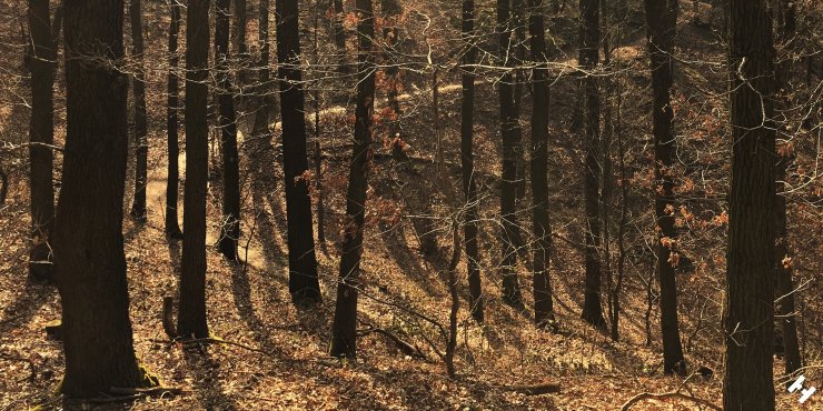 Trail von Blankenhain zur Koberbach Talsperre