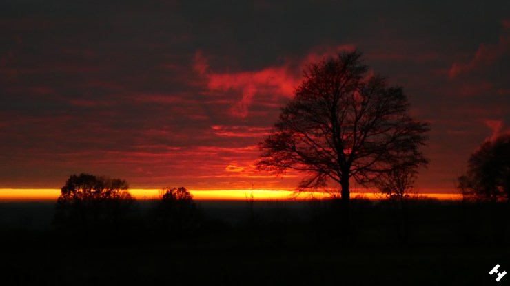 Naturschauspiel auf dem Pfaffenberg im Landkreis Zwickau