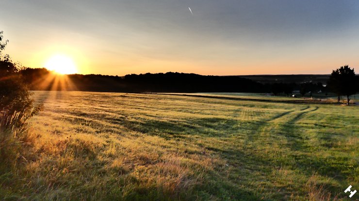 Von Eisblumen und Reif überdeckt befindet sich unweit der Autobahn 4 eine schöne Wiese
