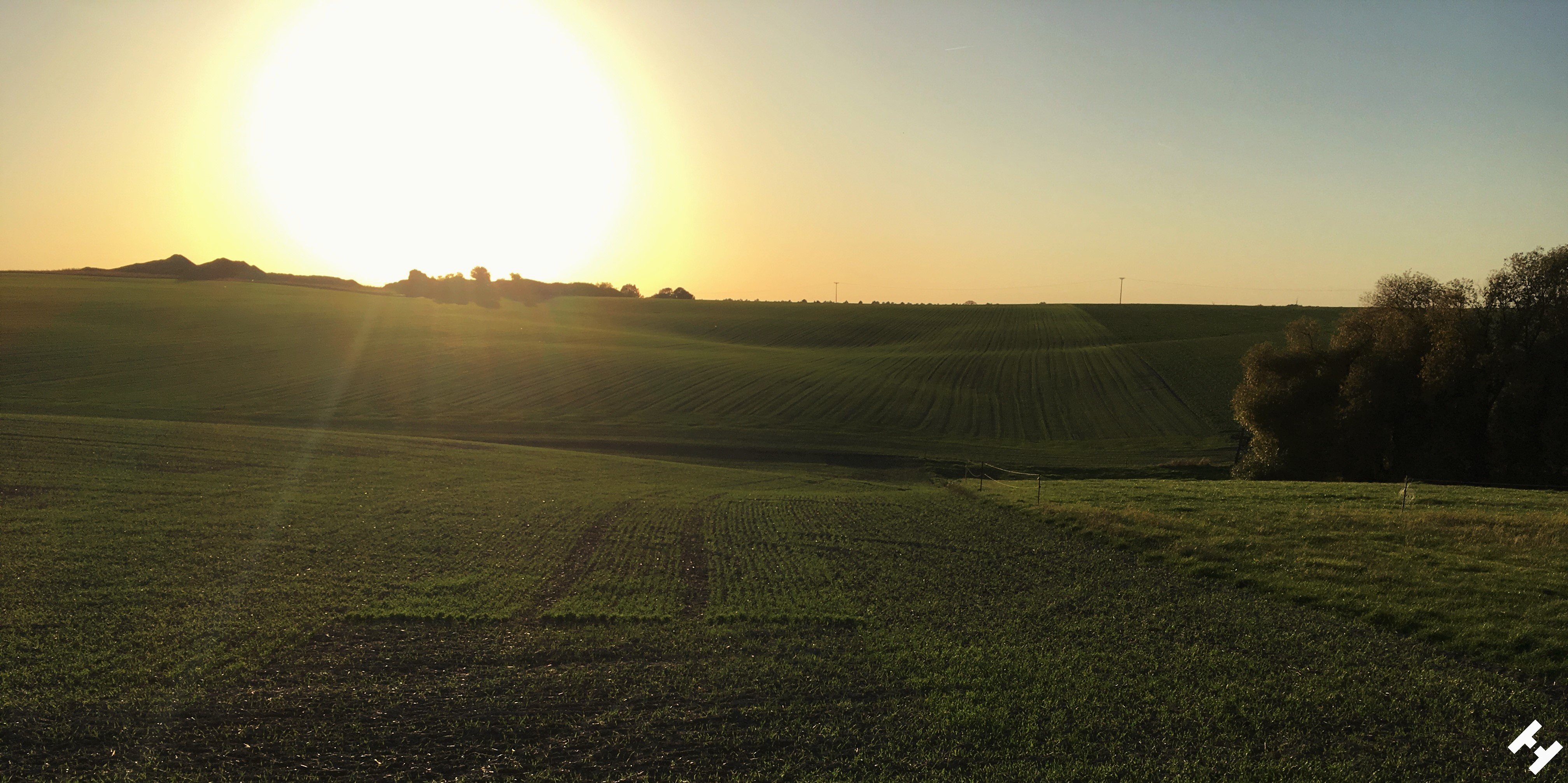 Herrliche Sonnenuntergangsstimmung über einem Feld in Dennheritz